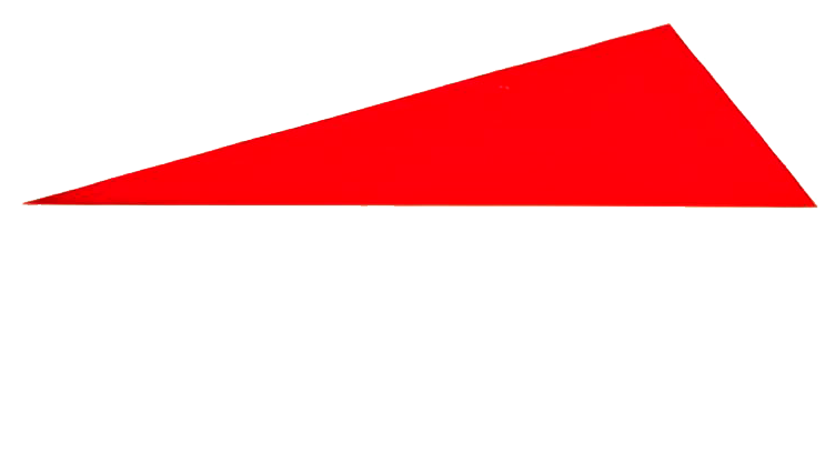 disponfer logo